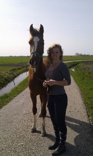 Afbeelding