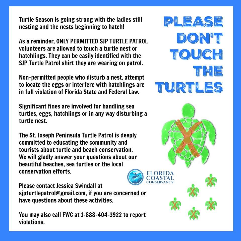 Do Not Touch Sea Turtles