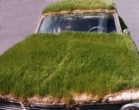 http://i1127.photobucket.com/albums/l624/jexgill/Amazing%20Grass%20-%20Covered%20Cars/a97819_REAL.jpg