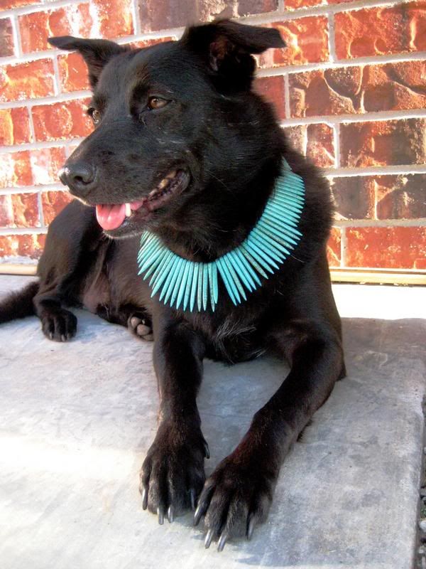 http://i1127.photobucket.com/albums/l624/jexgill/Clothes%20And%20Jewelries%20For%20Dogs/clothes-and-jewelries-for-dogs03.jpg