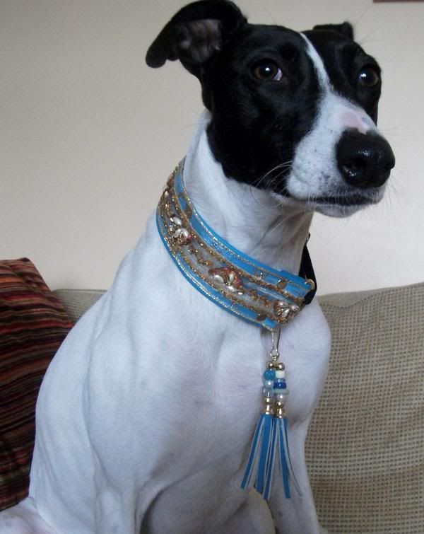 http://i1127.photobucket.com/albums/l624/jexgill/Clothes%20And%20Jewelries%20For%20Dogs/clothes-and-jewelries-for-dogs07.jpg