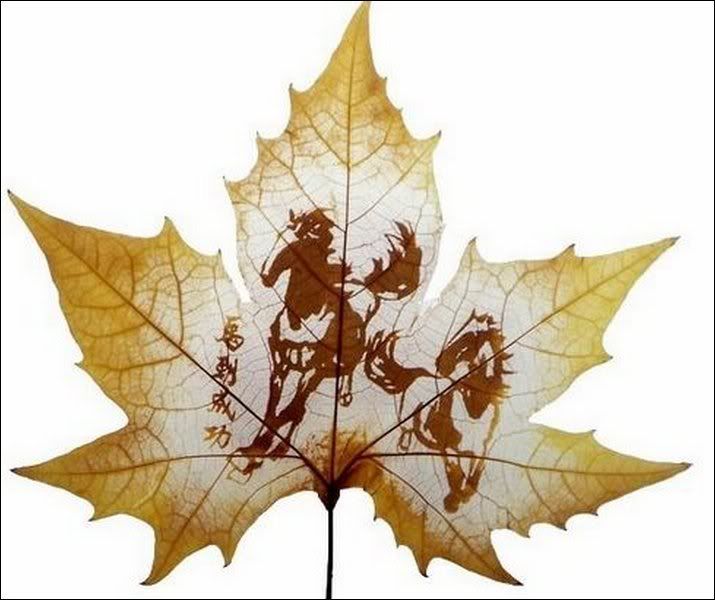 http://i1127.photobucket.com/albums/l624/jexgill/Leaf%20Carving/leaf-carving07.jpg