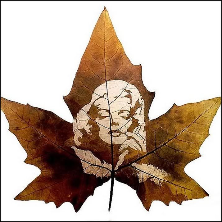 http://i1127.photobucket.com/albums/l624/jexgill/Leaf%20Carving/leaf-carving08.jpg