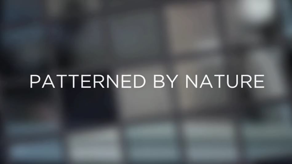 blog.jpg