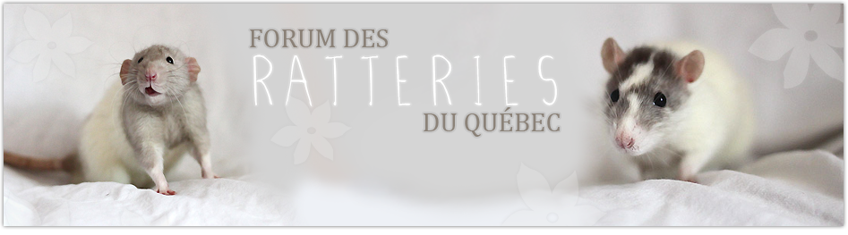 Le Forum des Ratteries du Québec