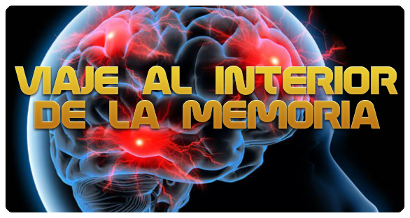 1 - Viaje al interior de la memoria