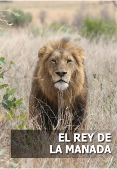 1 2 - Monsters Night: El rey de la manada