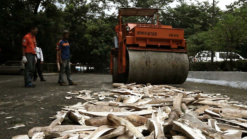 2 10 - Invertir en la extinción Dvbrip Español