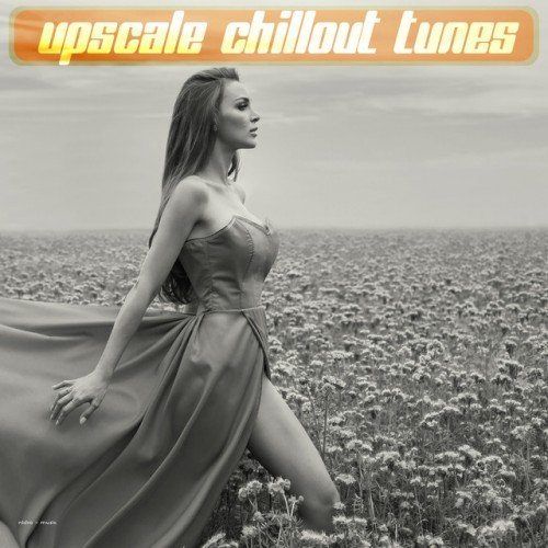 2 115 - Upscale Chillout Tunes (2016)