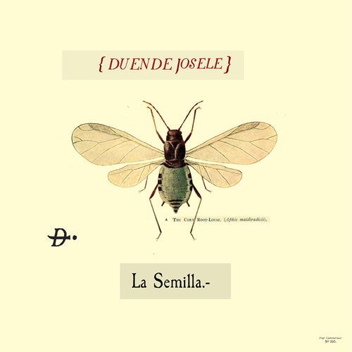 500x500 18 - Duende Josele - La Semilla FLAC