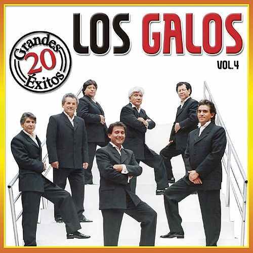 500x500 23 - Los Galos: Discografia