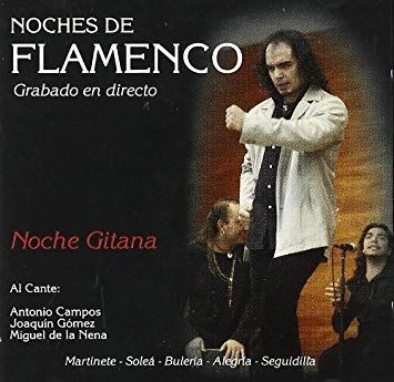 61vJx1UFqsL SX355  - Noches de Flamenco Noche Gitana VA (2008)