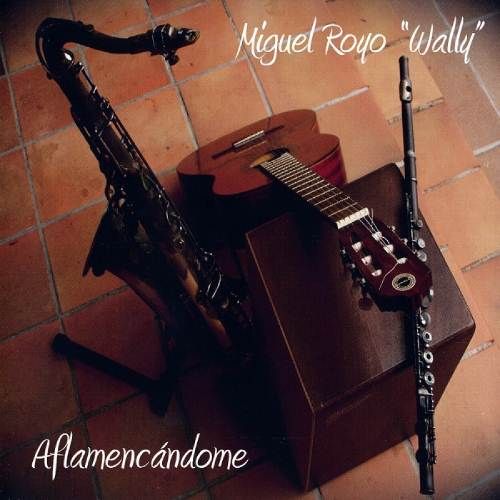 Front - Miguel Royo ''Wally'' - Aflamencandome (2015)