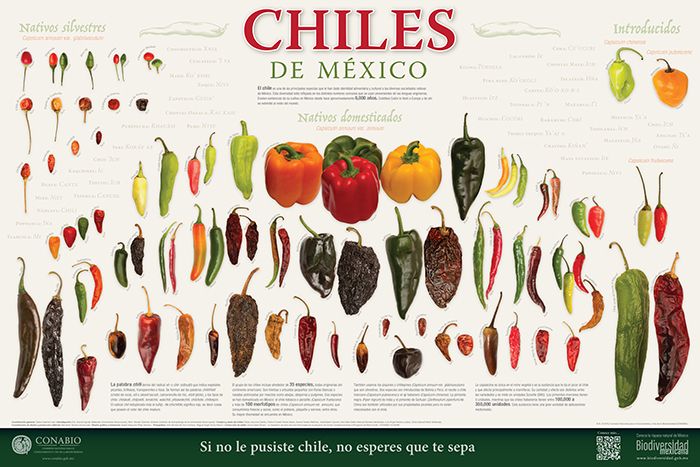folder 45 - Los Chiles de México