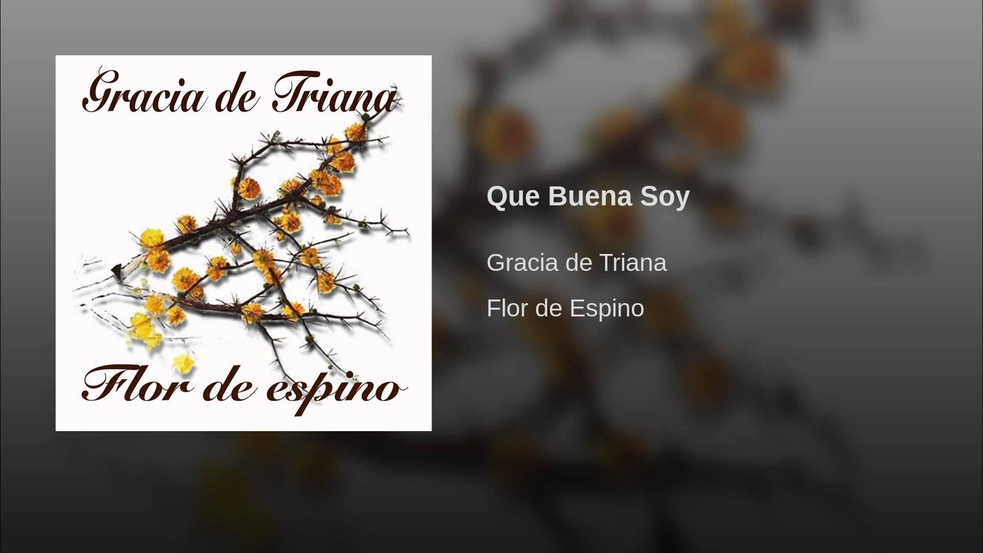 maxresdefault 60 - Gracia de Triana - Flor de Espino (2009)