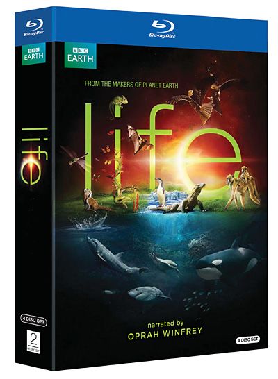 01 32 - Life Tvrip Español (6/6)