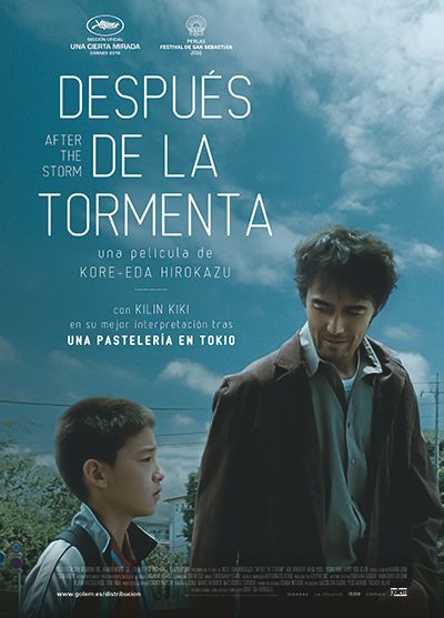 1477472280 DDLT cartel 400px - Despues de la tormenta MicroHD 1080 Castellano (2016) Drama