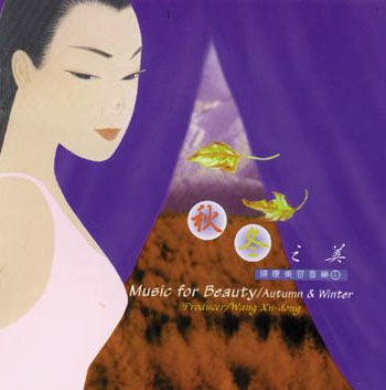 1 182 - Wang Xu-dong. Gong Fu (Musical Therapy, Chinese Meditative Music) (14 CDS)