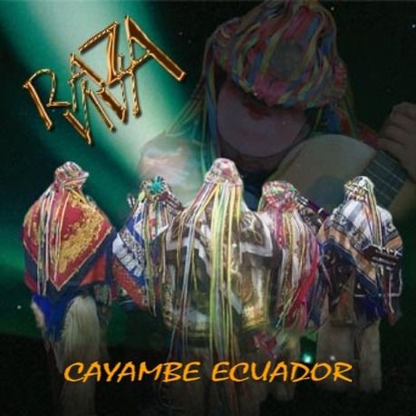 1 195 - Raza Viva - Cayambe Ecuador
