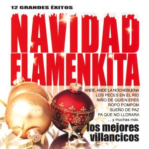300 albumpic 519518 0 - Navidad Flamenkita (2014)