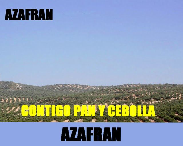 MAQUETA2520AZAFR25C32581N25201 CONTIGO2520PAN2520Y2520CEBOLLA - Azafran (Rock Andaluz)