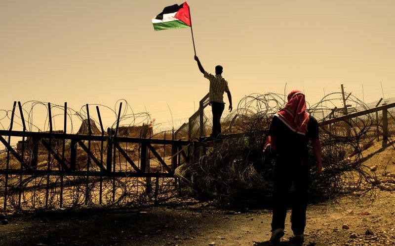 Palestina olvidados 800x500 - Los Olvidados: Palestina, historia de resistencia
