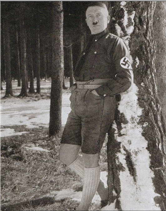 hitler 1 - Testigos del final de Hitler HDTVRiP Español (2014)