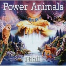 MUPADNLPA L - Power Animals & Native Nights - Native American Indian Meditation