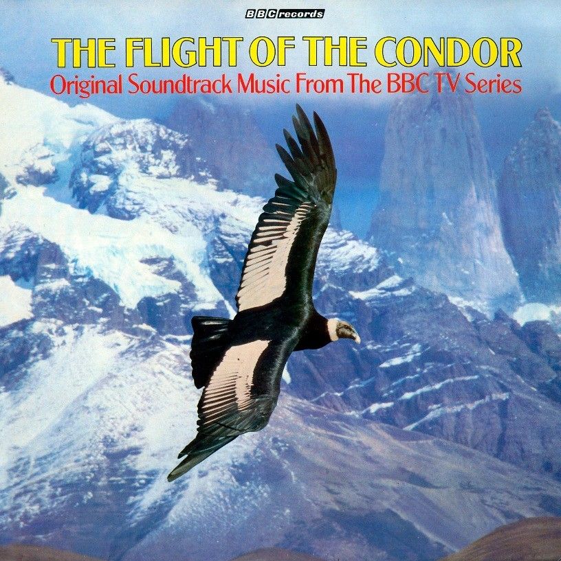flight of the condor - Inti Illimani - The Flight Of The Condor