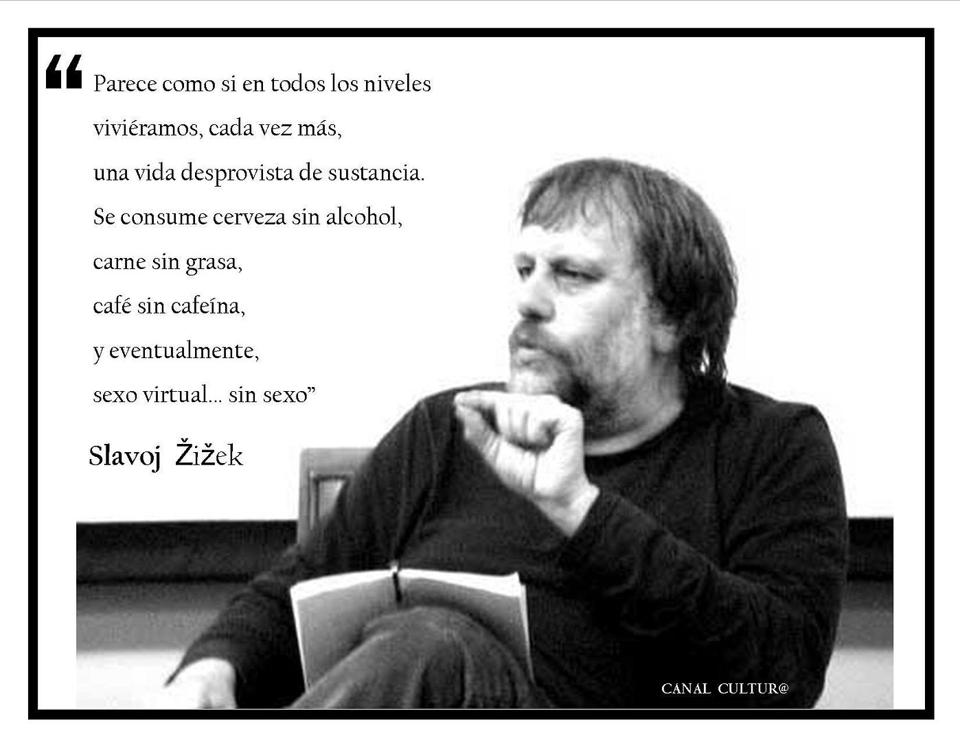 slavoj c5beic5beek - Slavoj Žižek para principiantes
