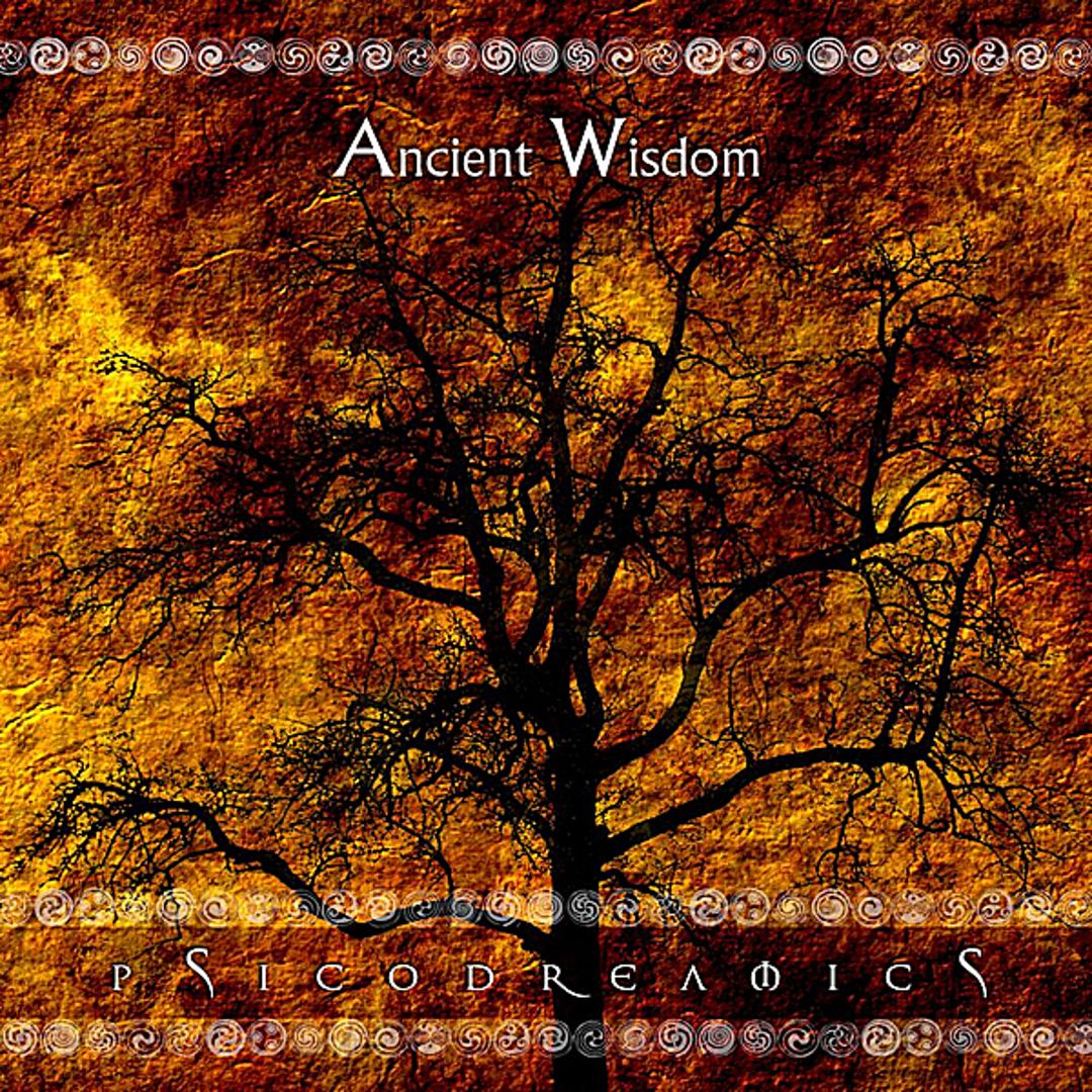 Folder 3 - Psicodreamics - Ancient Wisdom (2011)