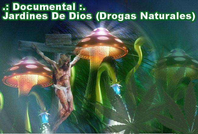 Jardinesdedios - Jardines de Dios (Drogas naturales) Tvrip Español