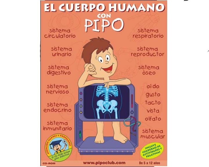 cuerpo20con20pipo - El cuerpo humano con Pipo