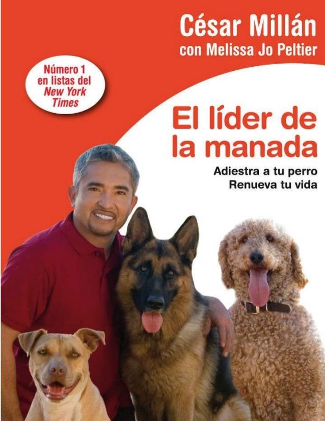 el lider de la manada csar milln 1 638 - El líder de la manada - César Millán & Melissa Jo Peltier