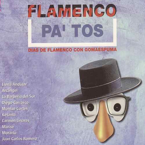 500x500 11 - Flamenco Pa'tos VA (2003)