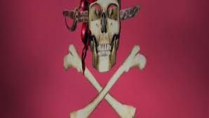 0 126 - ¡Piratas!