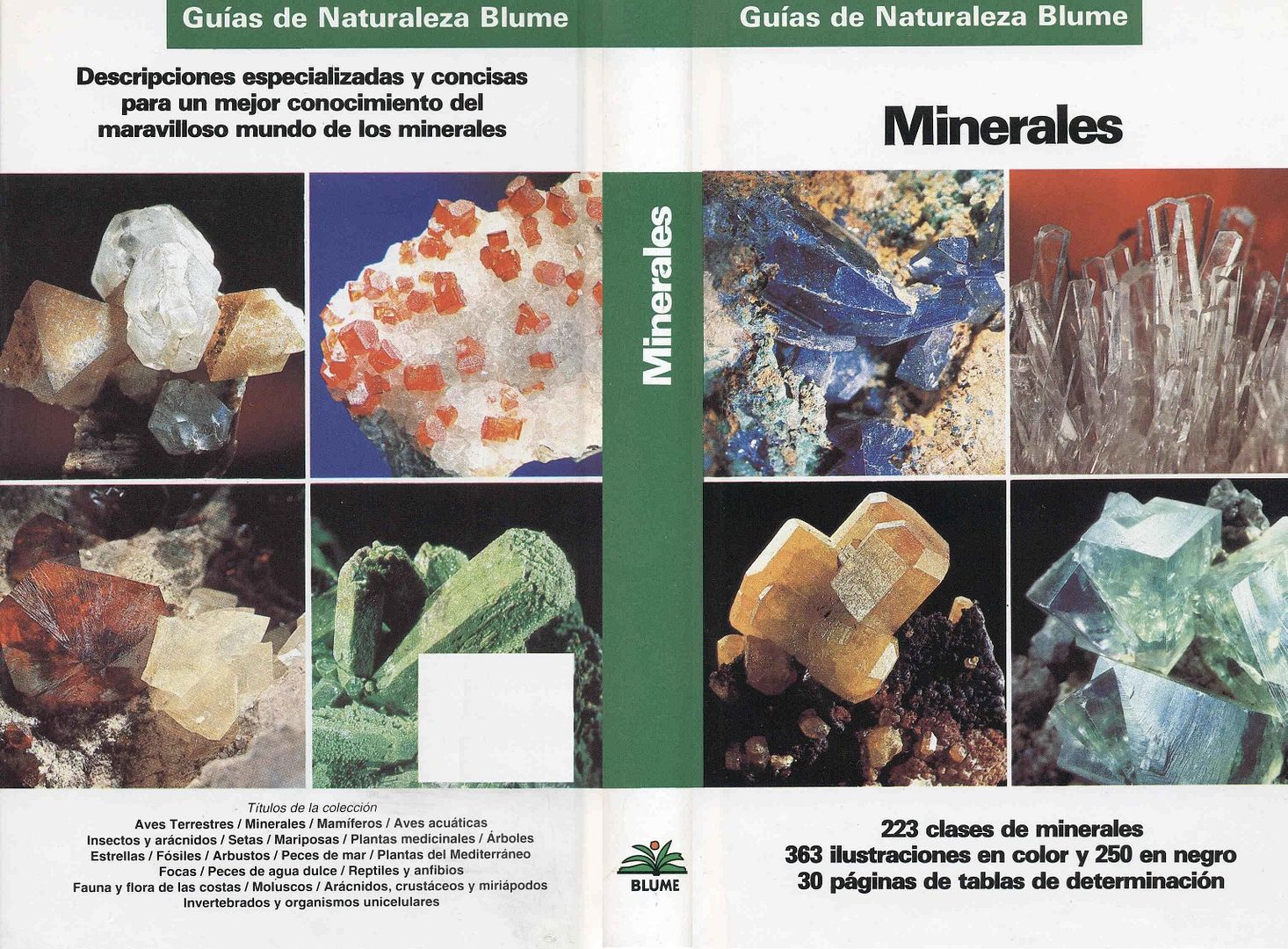 Nueva20imagen20de20mapa20de20bits 25 - Minerales (Guía Blume)