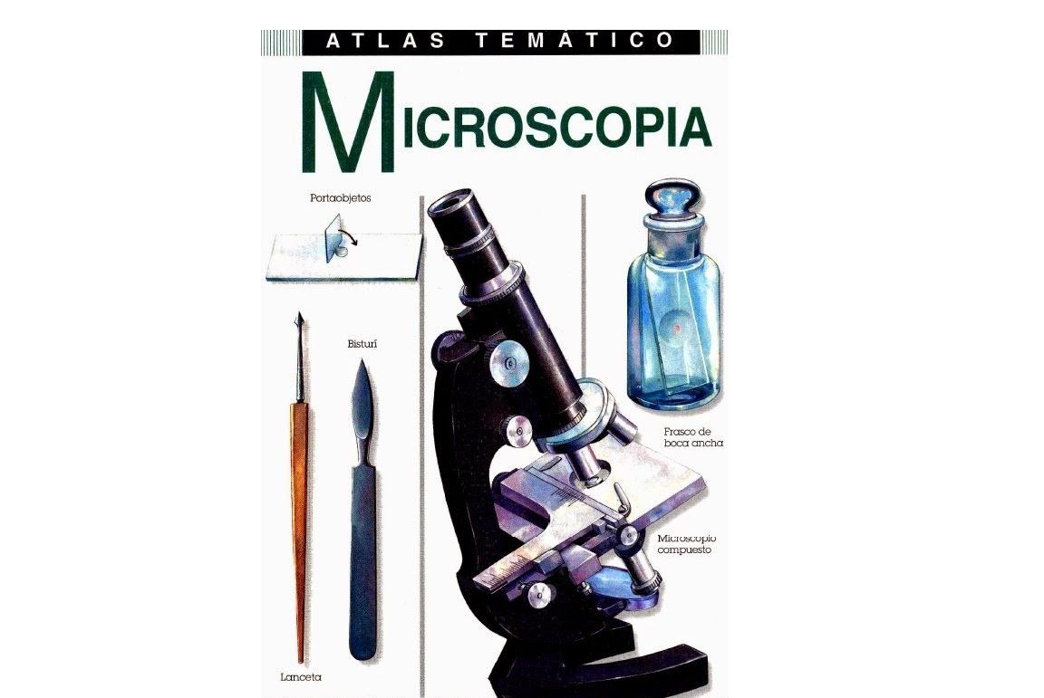 Nueva20imagen20de20mapa20de20bits 39 - Atlas Temático Microscopia