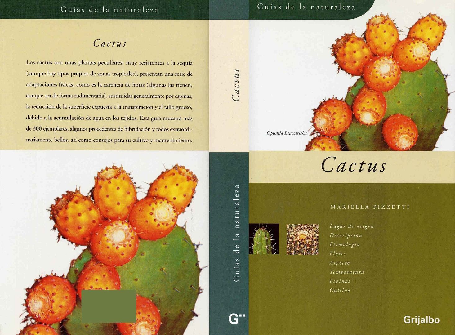 Nueva20imagen20de20mapa20de20bits 46 - Guias de la Naturaleza: Cactus