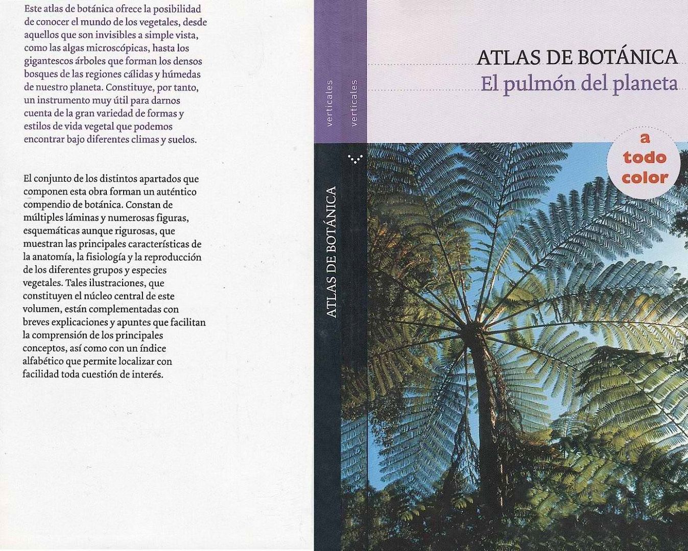 Nueva20imagen20de20mapa20de20bits 47 - Atlas de Botánica. El pulmon del planeta