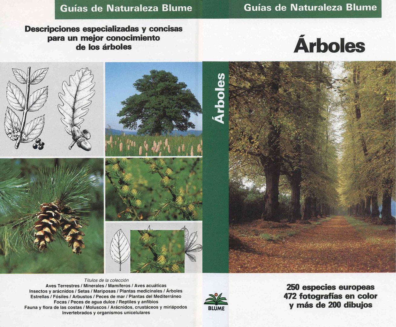 Nueva20imagen20de20mapa20de20bits 48 - Guias de la Naturaleza Blume: Arboles