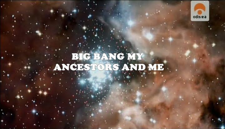 ALRITMODELAVIDA 1 - El Big Bang. Mis ancestros y yo Tvrip Español