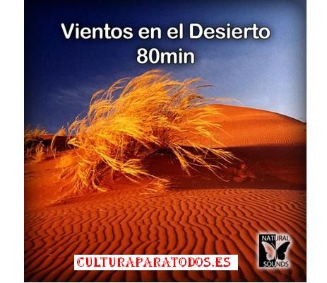 1 1 - Vientos en el Desierto