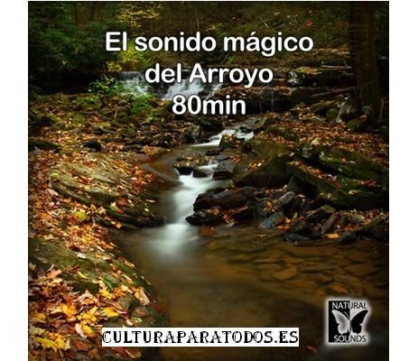 1 - El sonido mágico del Arroyo