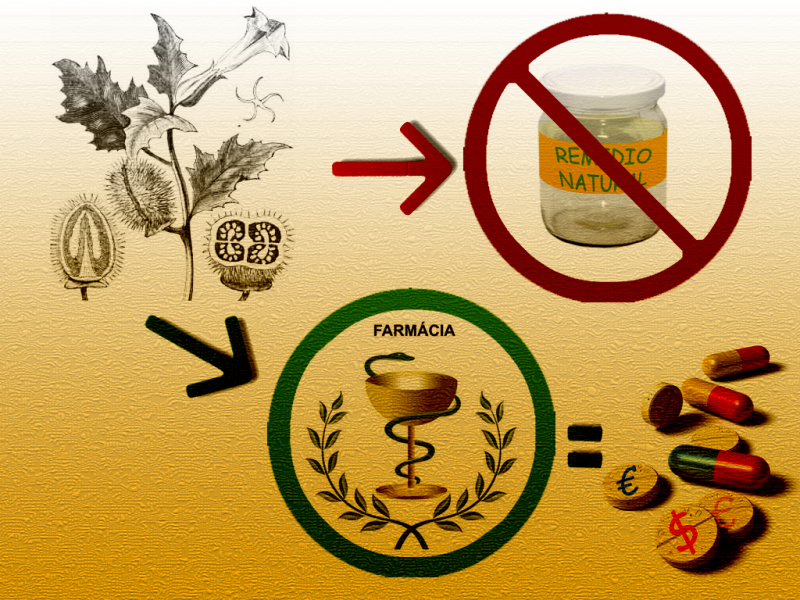 52483 plantasprohibidas big - Plantas que curan, plantas prohibidas DVDRip Español
