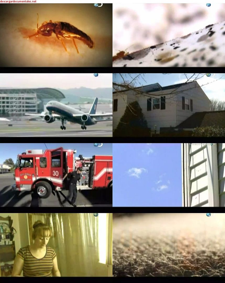 Capturas Discovery Channel  Apocalipsis Microscopico s - Apocalipsis Microscopico Tvrip Español