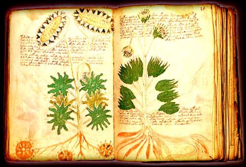 Manuscrito20Voynich20004 - El Manuscrito Voynich Tvrip Español