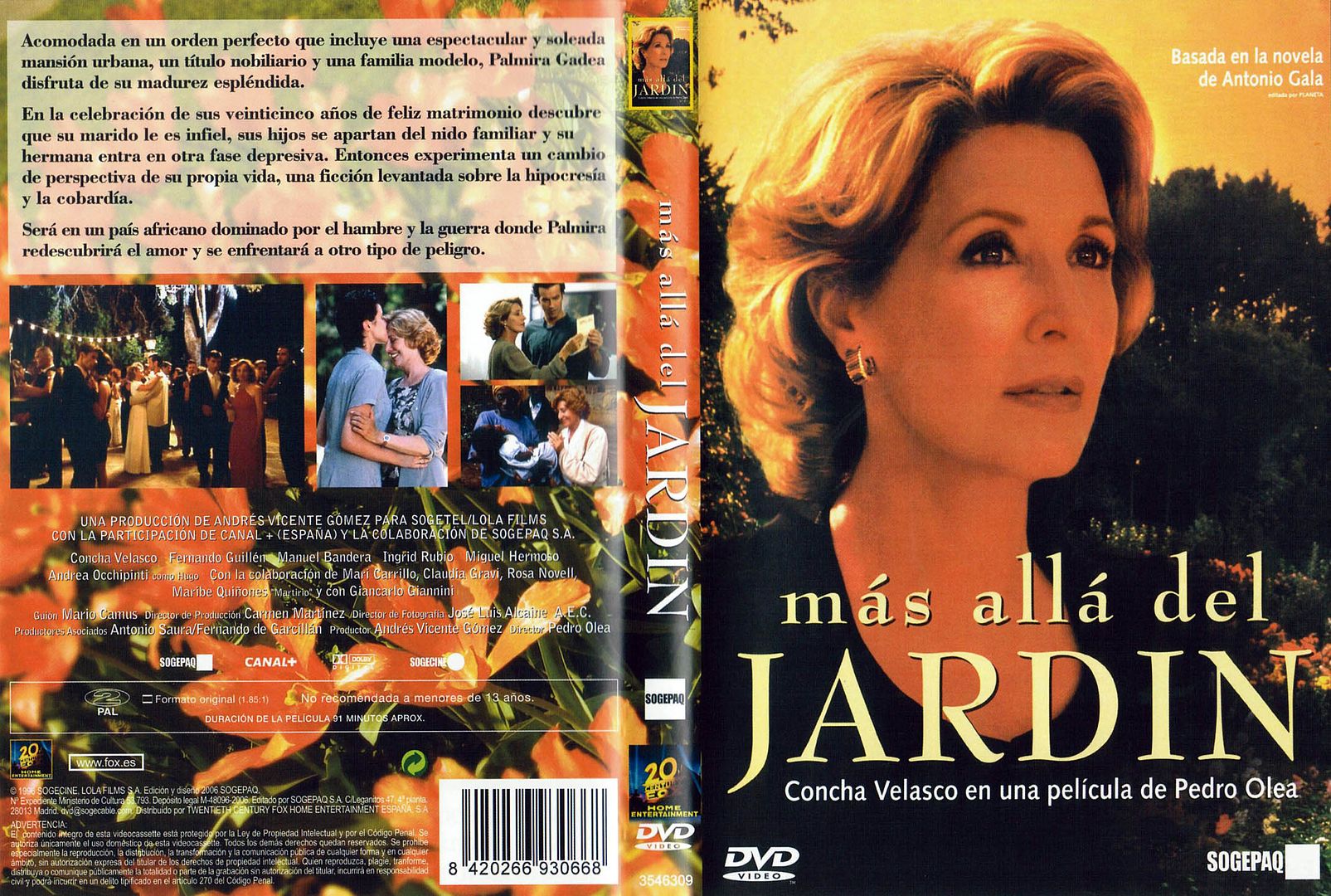 Mas Alla Del Jardin Caratula - Más Allá del Jardín Dvdrip Español (1996) Drama
