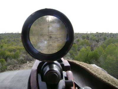 VENADO EN LA MIRA - Francotiradores - En la Mira Tvrip Español