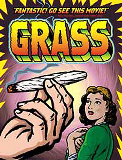 grass1 - Grass (Marihuana)  Dvdrip Español/Ingles